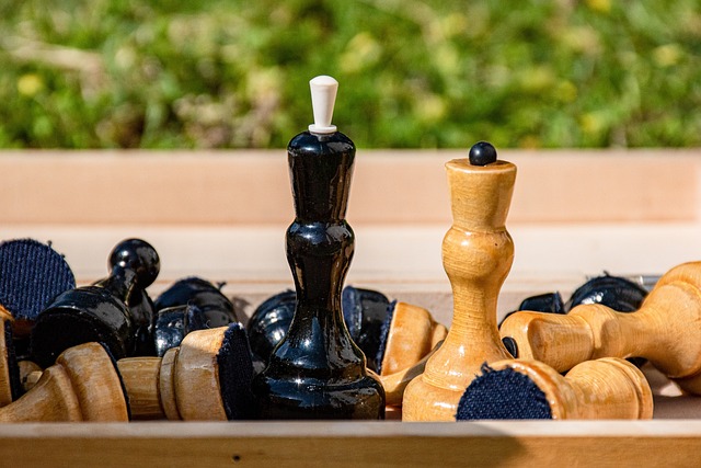 寻求的不仅 寻求的不仅