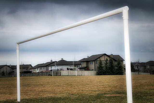 震撼和喜悦 震撼和喜悦