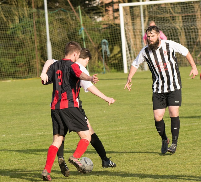 系统的集成 系统的集成