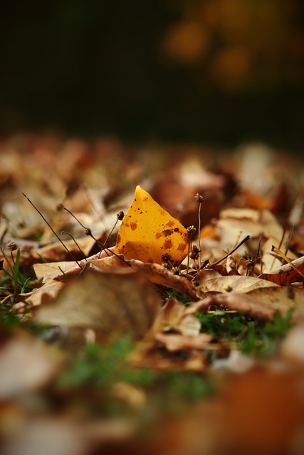 強內部培訓 強內部培訓