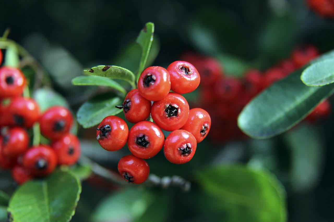 于竞技策略 于竞技策略